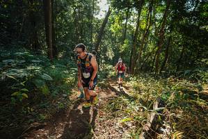 BIB: 
                            <button type="button" onclick="openModal(22546235)" class="btn btn-primary btn-sm float-right btn-popup" data-toggle="modal" data-target=".modal-high-quality">
                        <i class="fas fa-shopping-cart"></i> Add to Cart
                    </button>
                                            <button type="button" onclick="isThisMe(22546235, true)" class="btn btn-success btn-sm float-right btn-popup btn-isme hidden" data-toggle="tooltip" data-placement="bottom" title="นี่คือรูปของคุณใช่ไหม คลิกที่นี่เพื่อเอาเข้าอัลบั้ม">
                        <i class="fas fa-plus"></i> Add to album
                    </button>
                    <button type="button" onclick="isThisMe(22546235, false)" class="btn btn-warning btn-sm float-right btn-popup btn-isnotme hidden">
                        <i class="fas fa-ban"></i> Remove from album
                    </button>